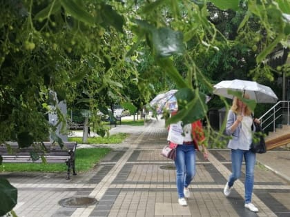 Погода на 11 июня 2022 года в Крыму и Севастополе: пройдут летние дожди