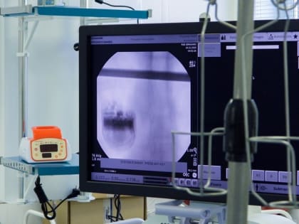 Департамент цифрового развития Севастополя заставили выплатить 70 млн руб просроченного долга подрядчикам