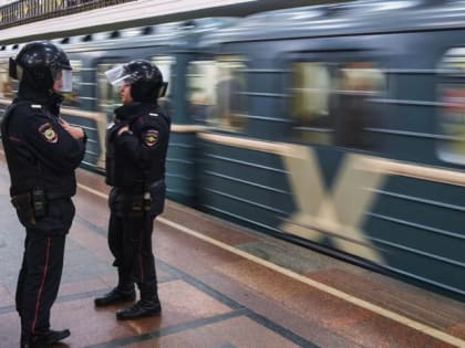 РИА Новости: мужчина погиб после падения под поезд в московском метро