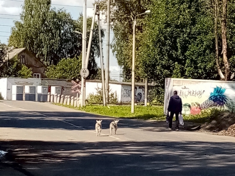 Очевидец событий