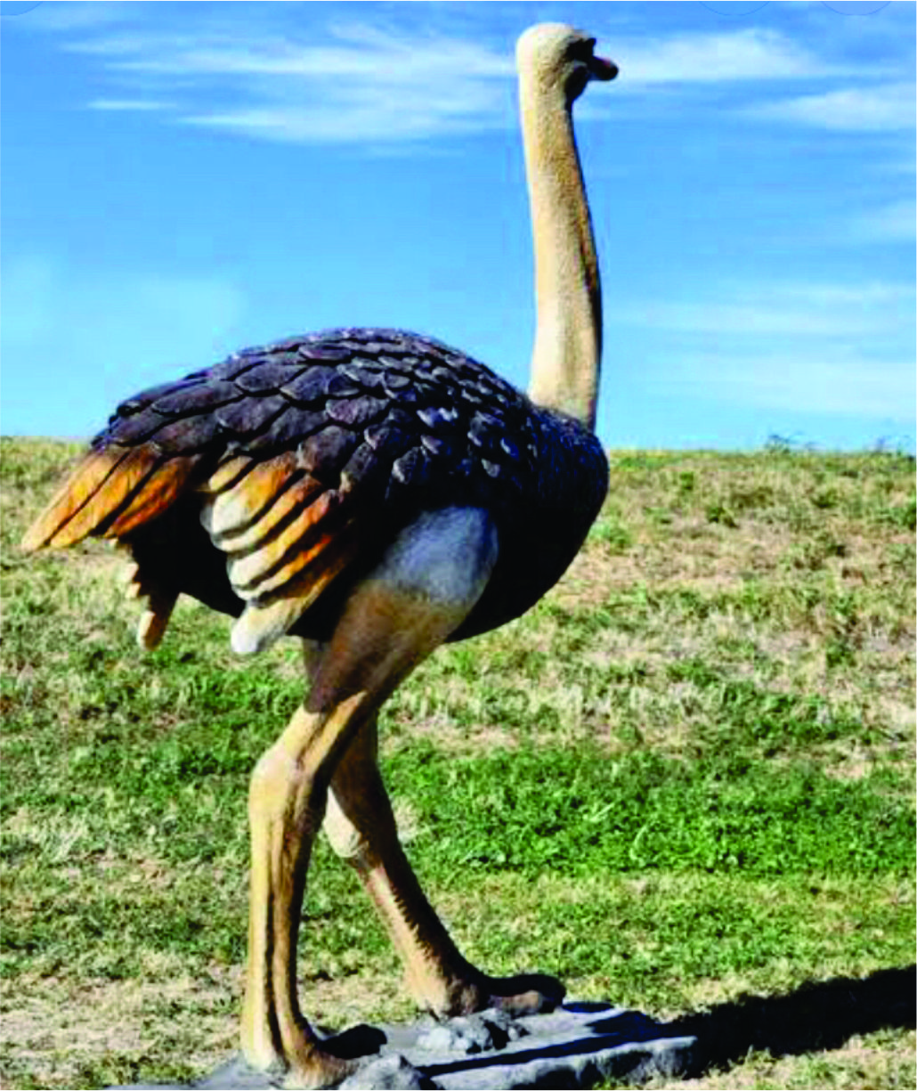 Abstract Steel Ostrich - Bronze & Metal Sculpture by Crafts Design