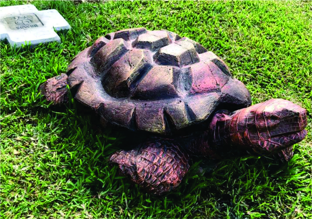 Pond Turtle Family - Bronze & Metal Sculpture by Crafts Design