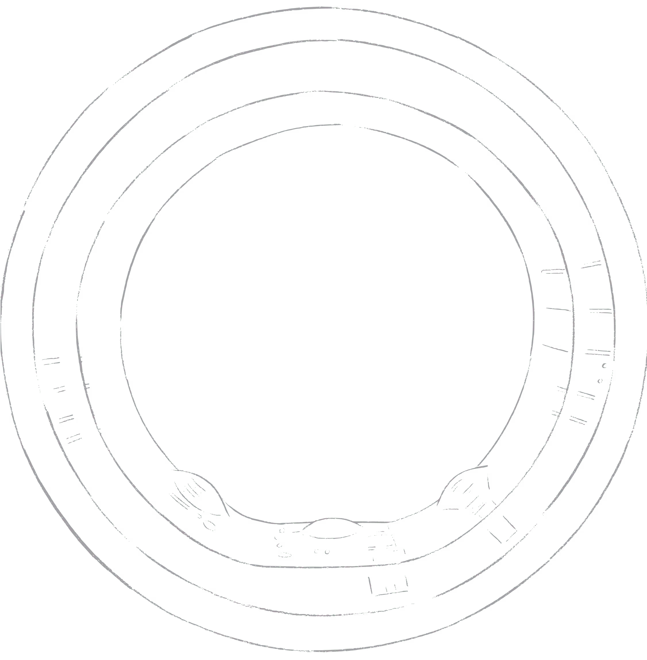 section-bg