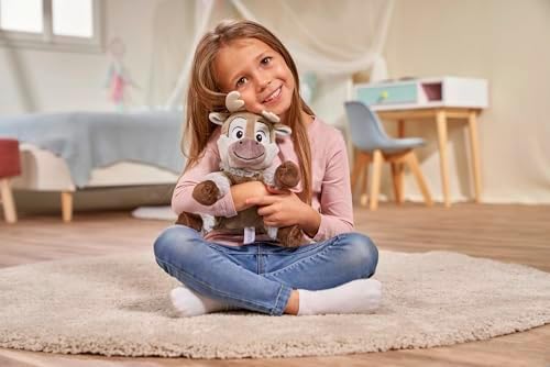 Vue 3 de Simba Disney La Reine