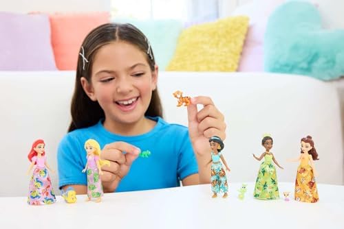 Vue 2 de Princesses Disney Les Princesses