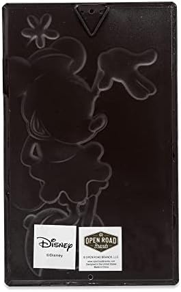 Vue 3 de Open Road Brands Disney
