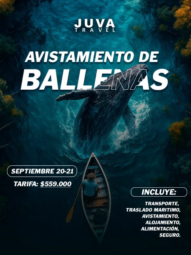Diseño 4