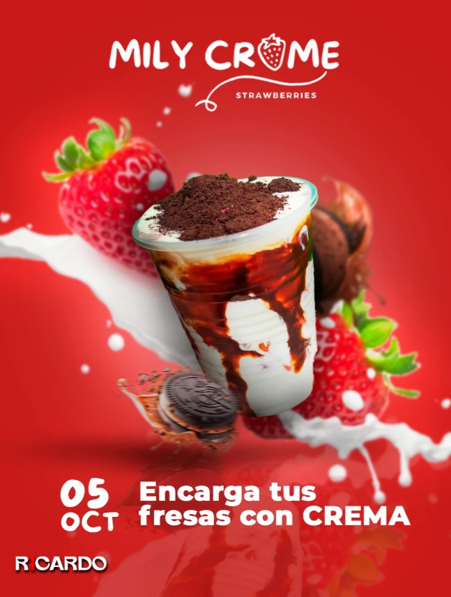 Diseño 5