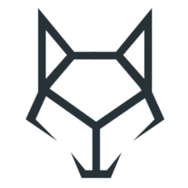 Mad Wolves Media