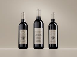 Plaskasovitis Olive Oil | Brand Identity & Packaging