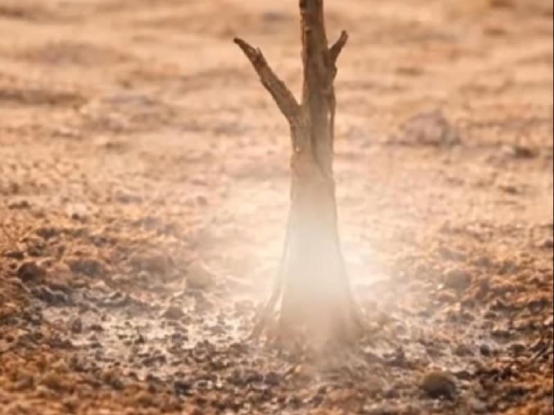 The Art of Narrative: Premium Short-form Video Production