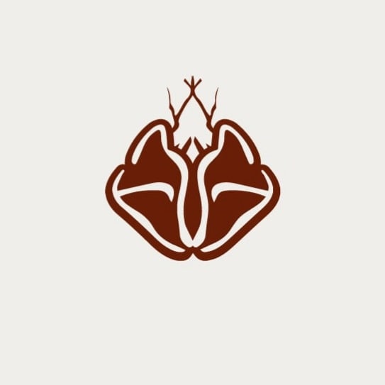 Kaleex_design