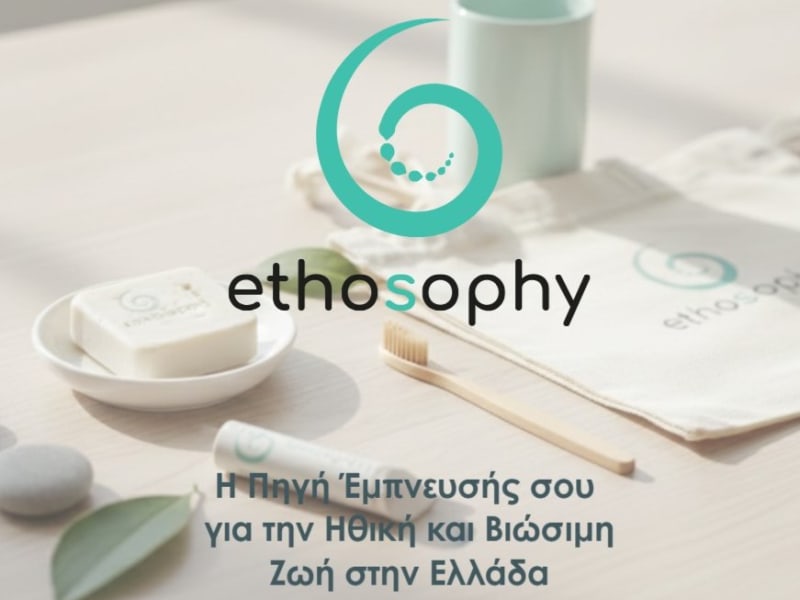 E-commerce Project Manager