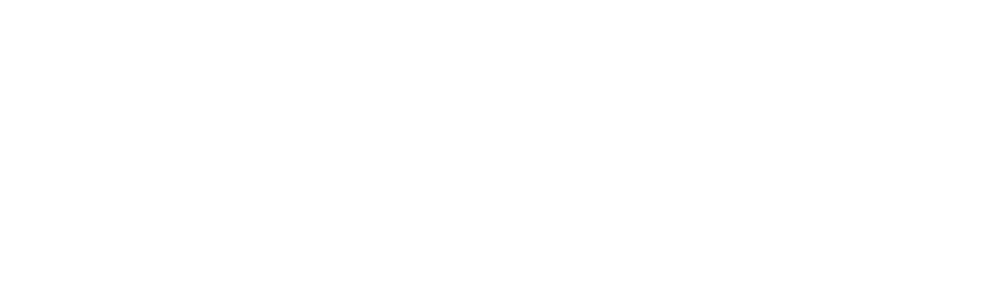Simplifly Lanka Logo