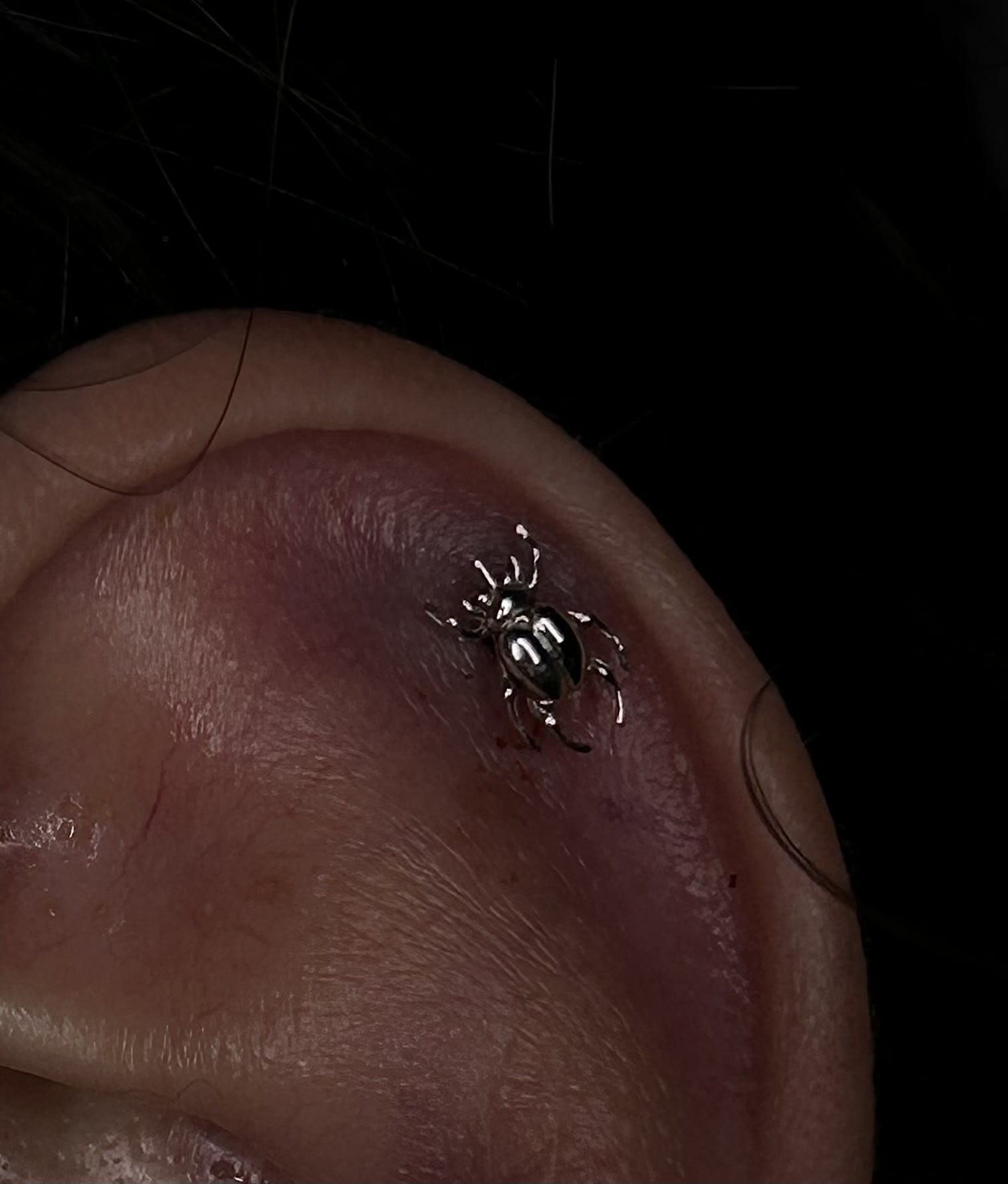 14k white gold 'scarab.'