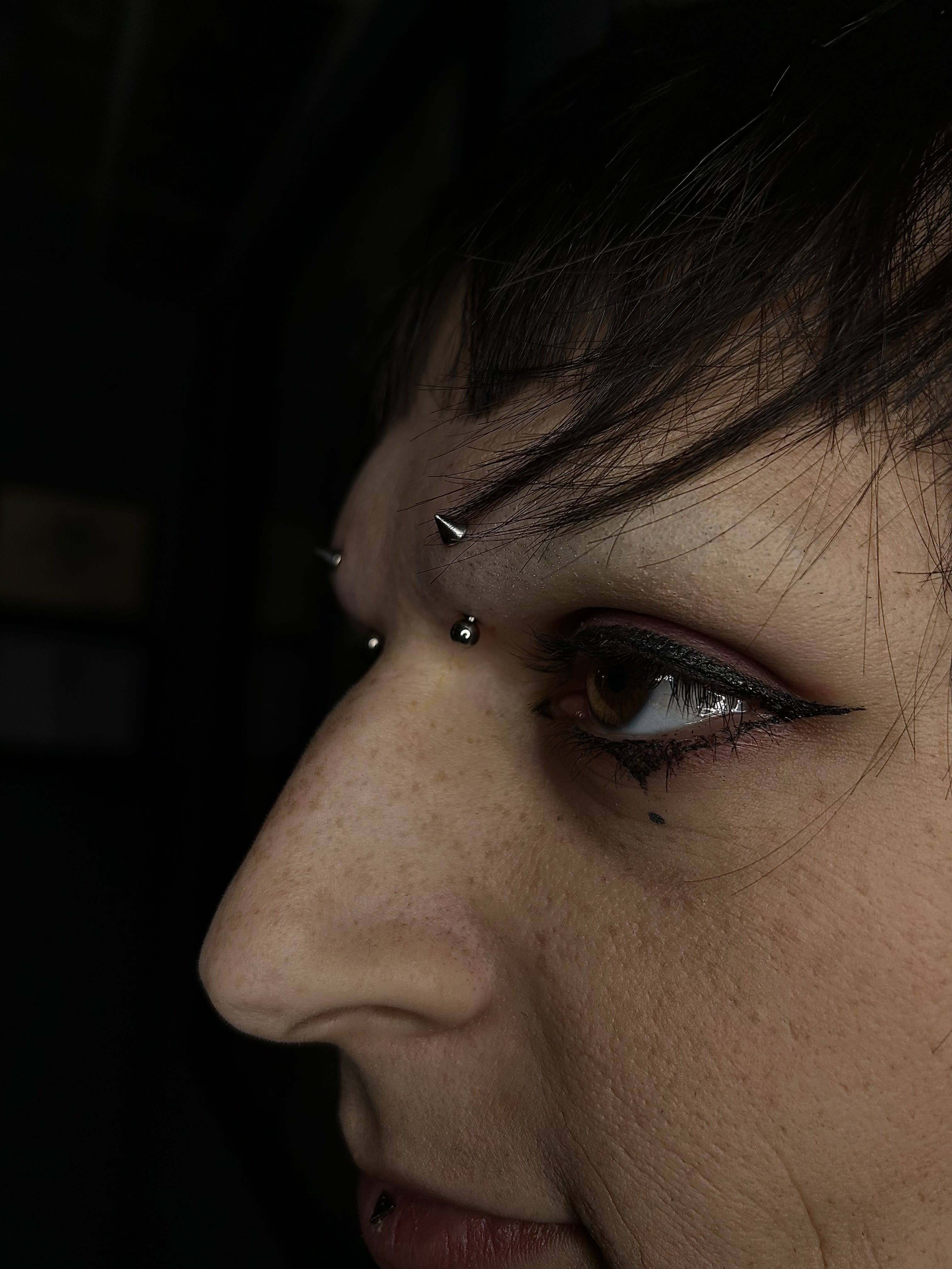 This client didn't have anatomy for a bridge so we went with two vertical brow piercings. I love love love the spikes on top of a look like this. 
