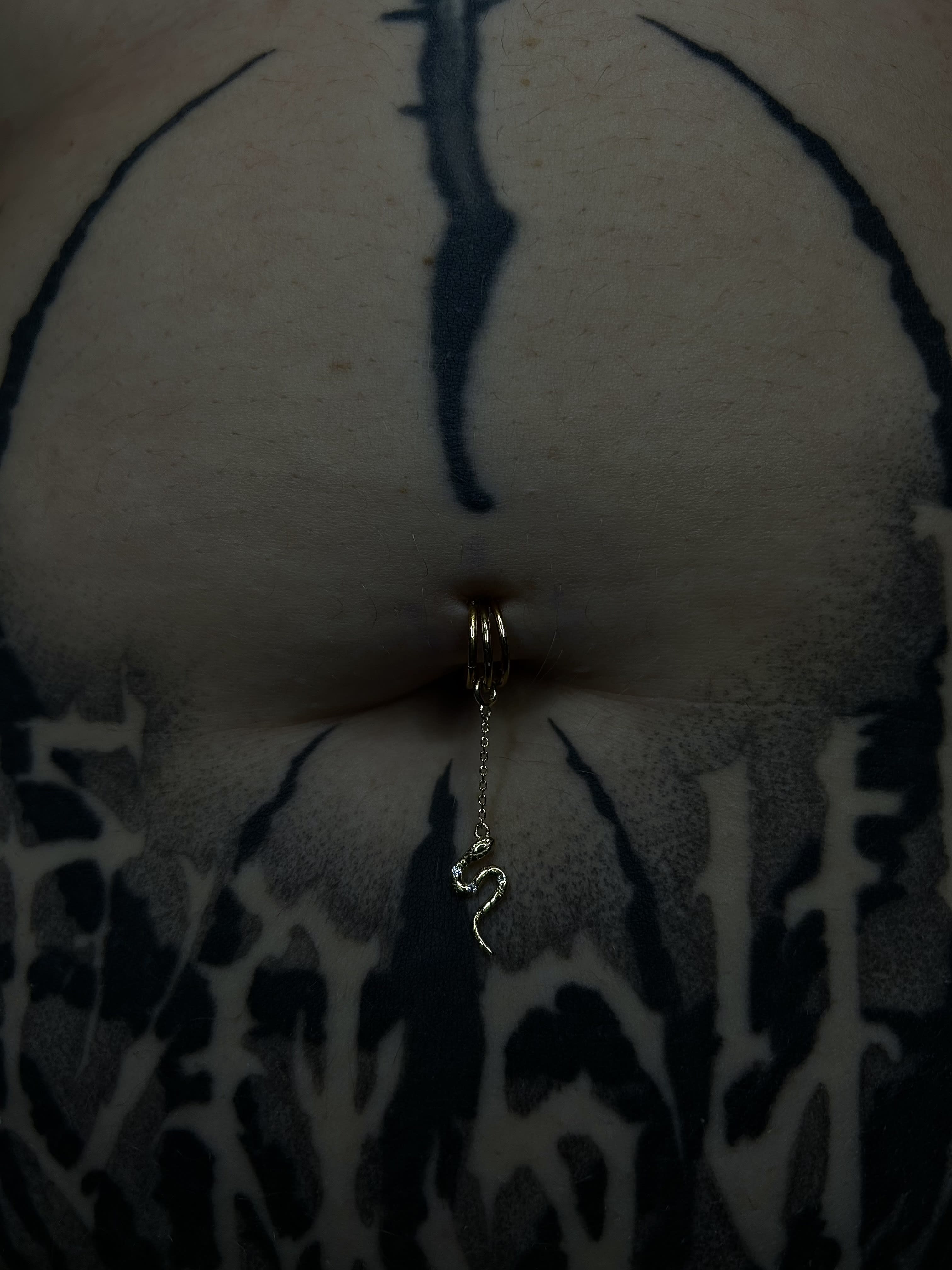 **Not pierced by me** But stacked by me! Gold hoops adorned with a snake charm. 