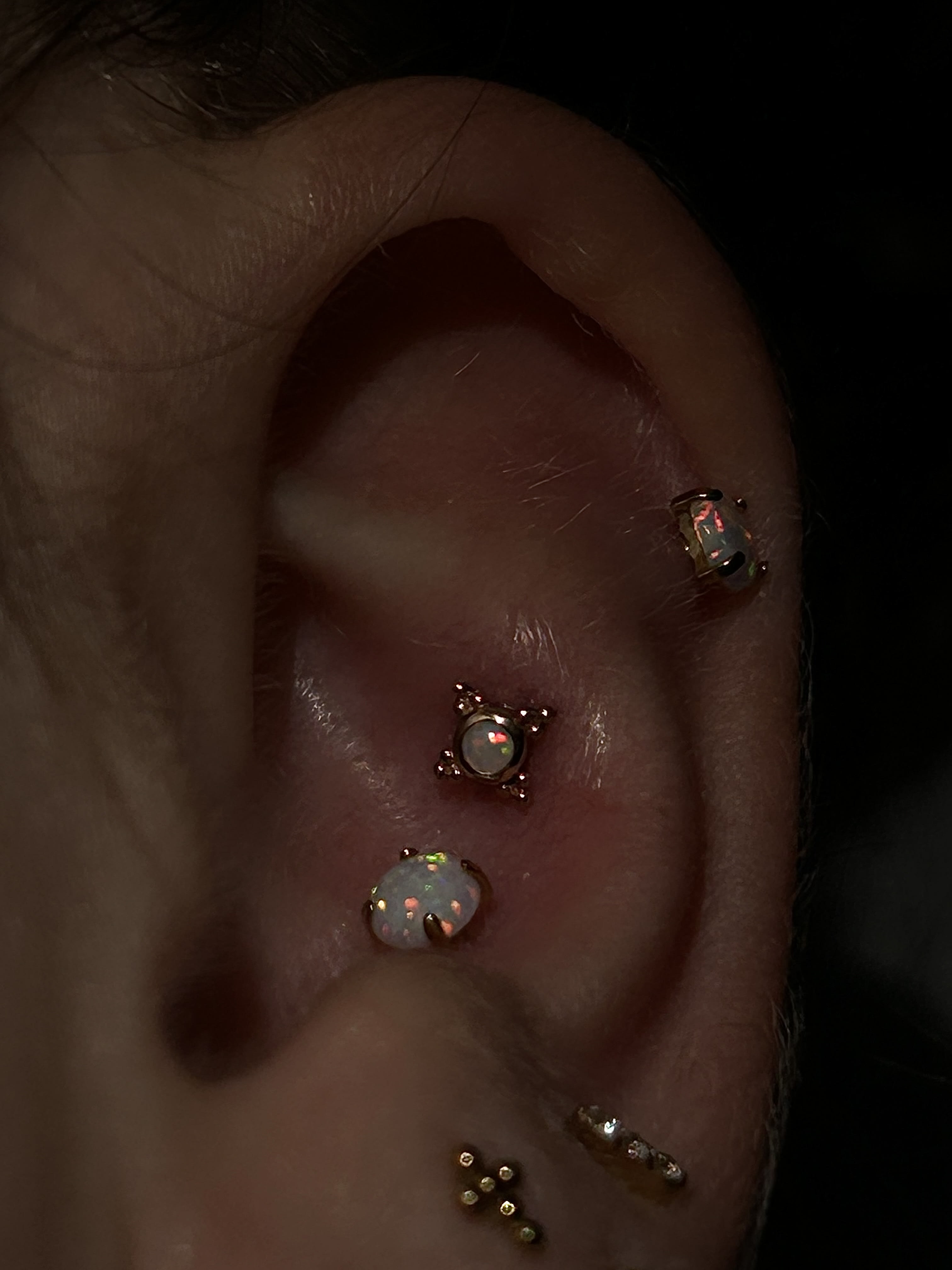 Upper conch piercing - one of my new favorite piercings to do if anatomy allows for it! 