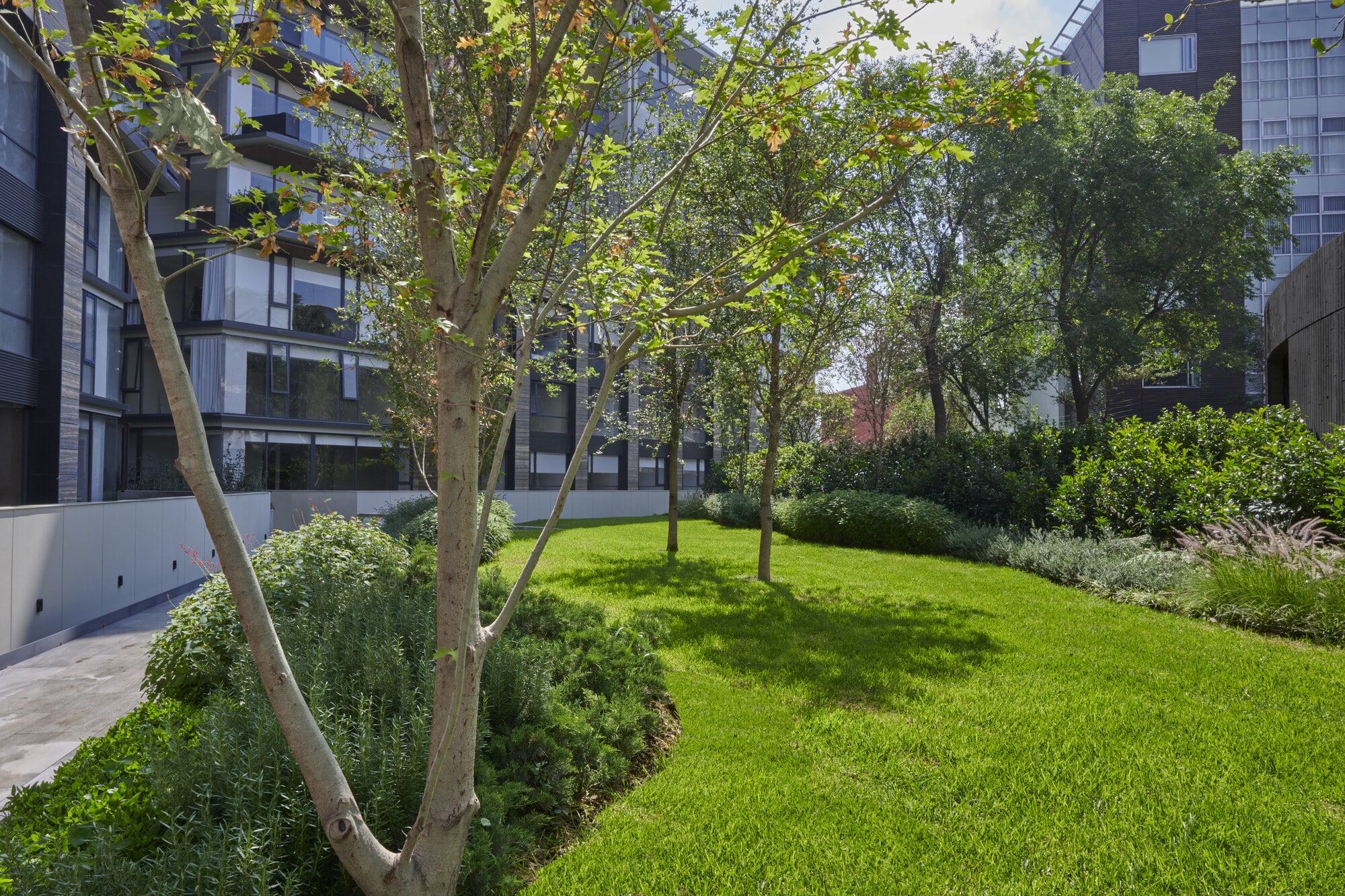 Jardín central