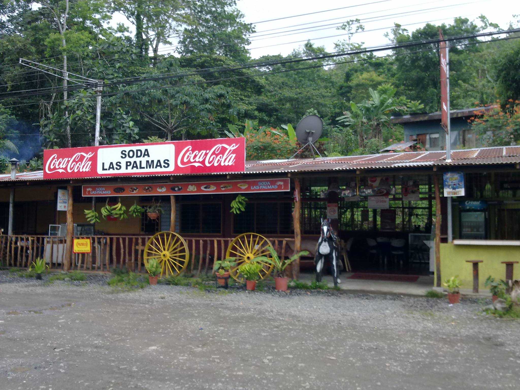 Vegan Costa Rica