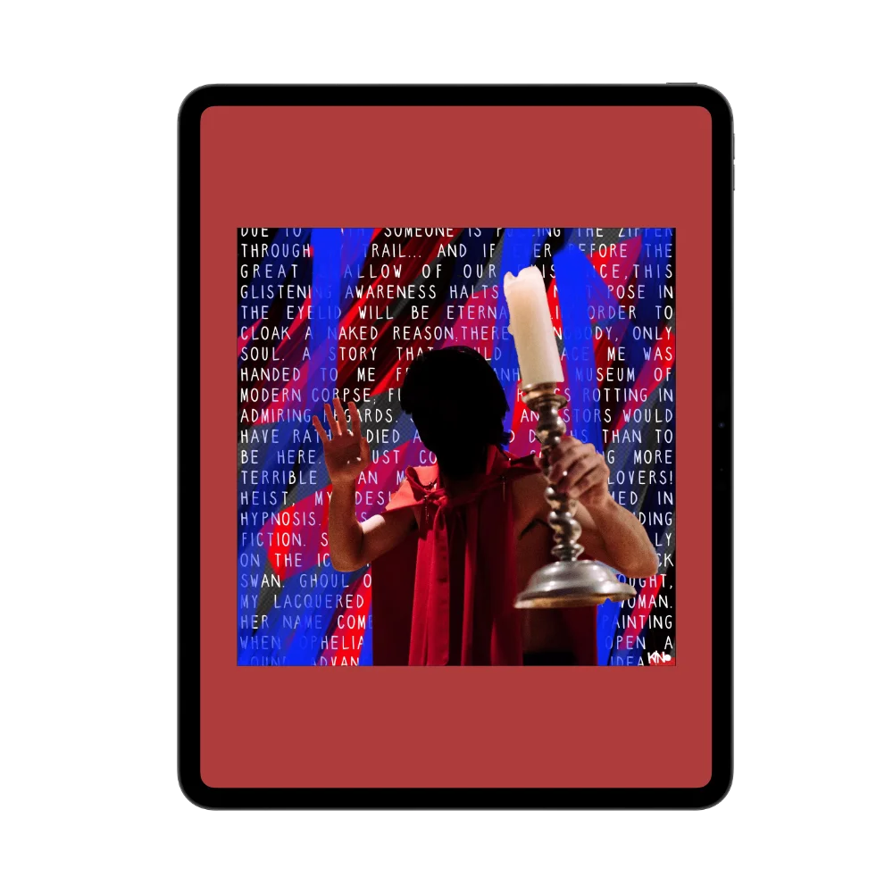 INTERMITTENT LUNACY (Epub)