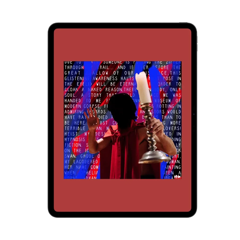 INTERMITTENT LUNACY (Epub)