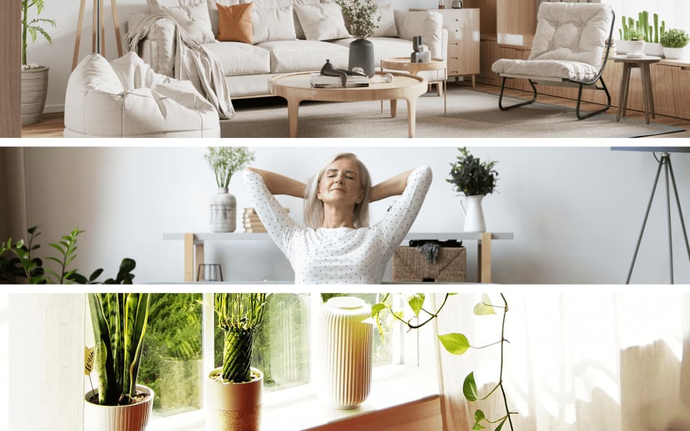 Website second banner (17).png