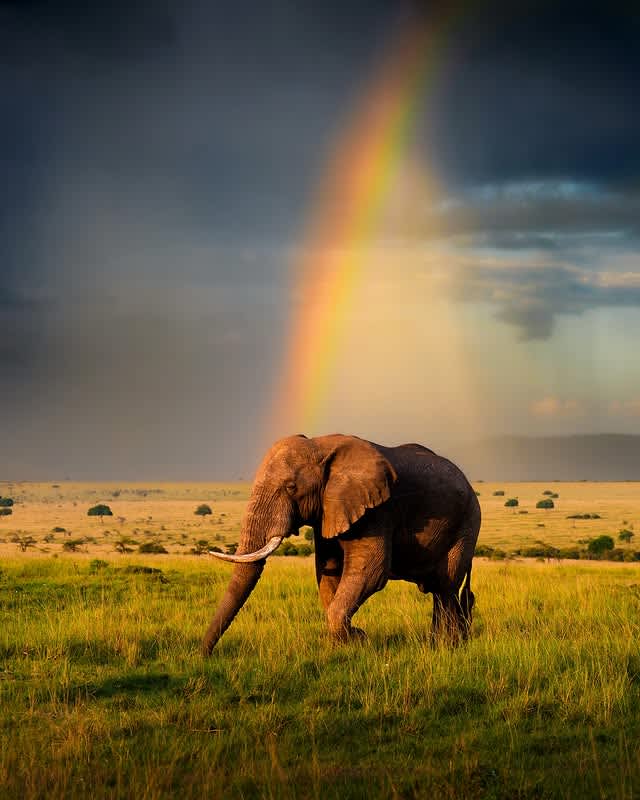 Tanzania safari planning