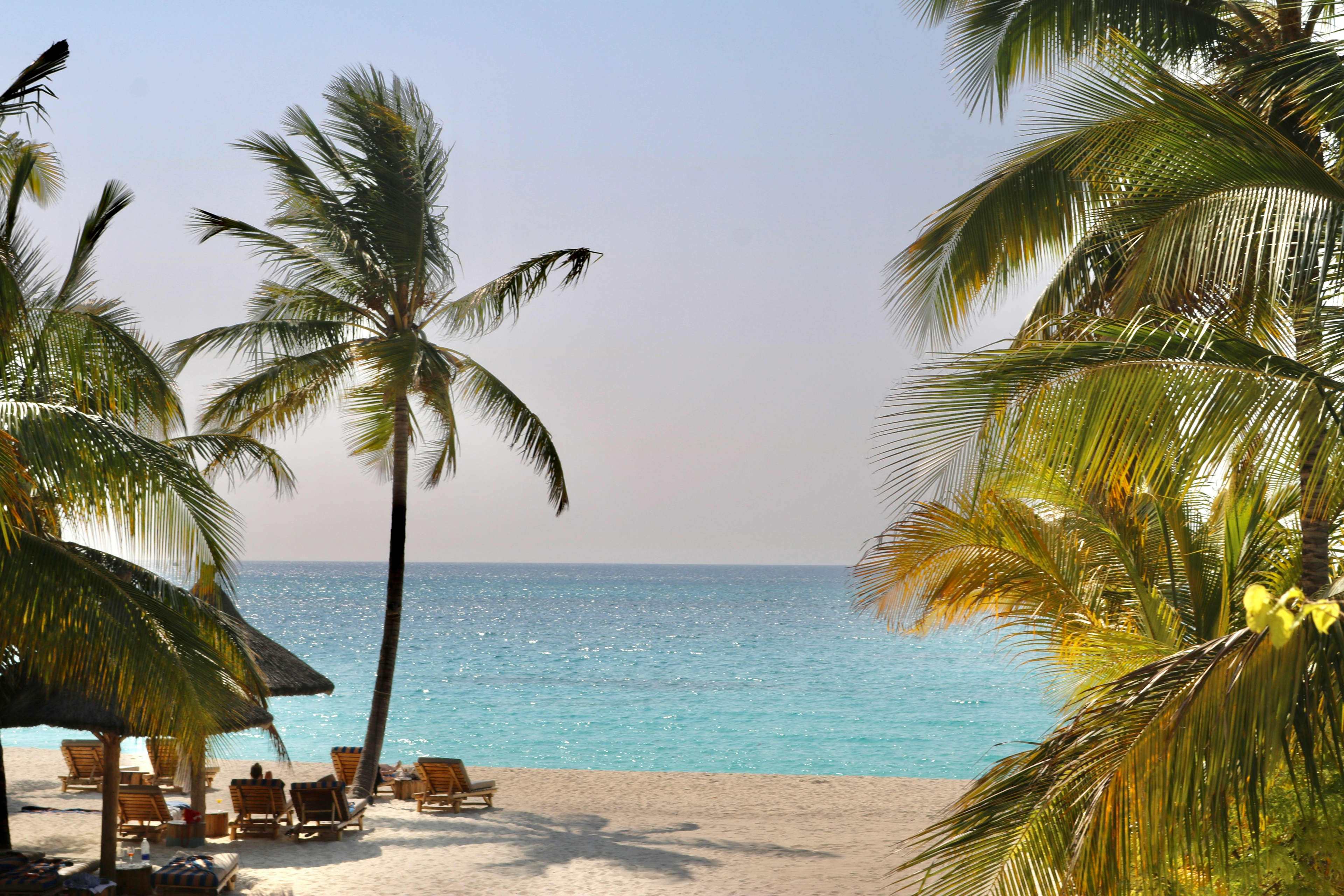 Zanzibar turquoise coastline