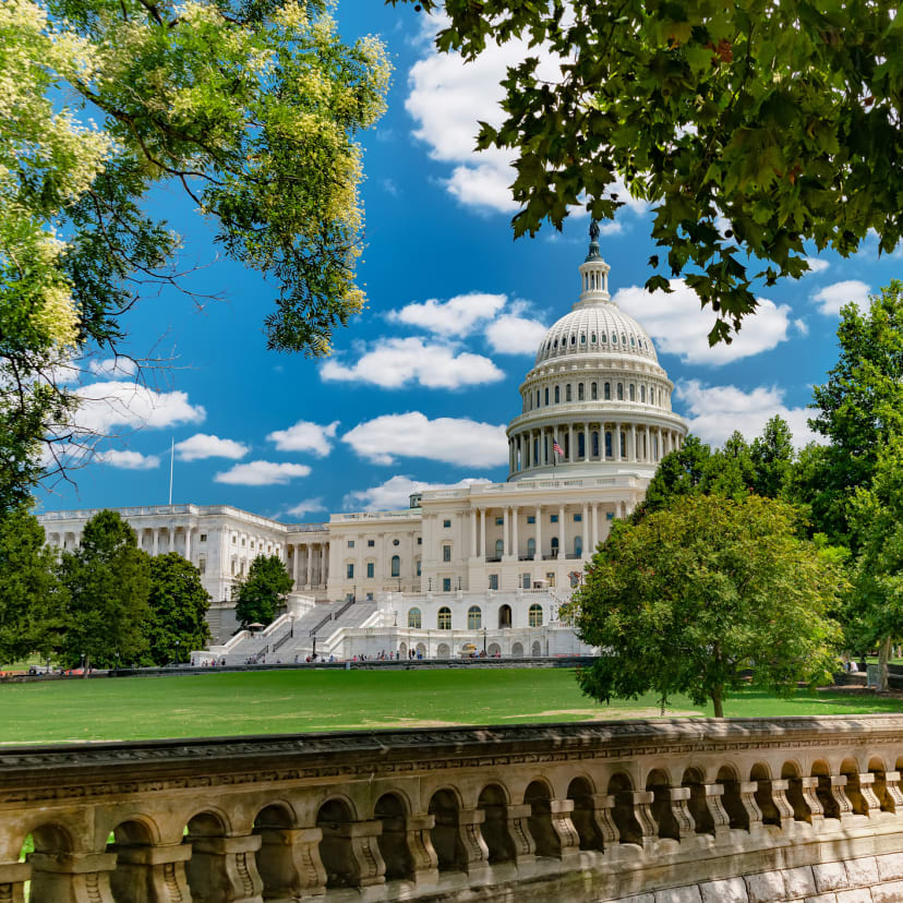 Facial Plastic Surgeon Washington, DC: Patient consultation in medical office