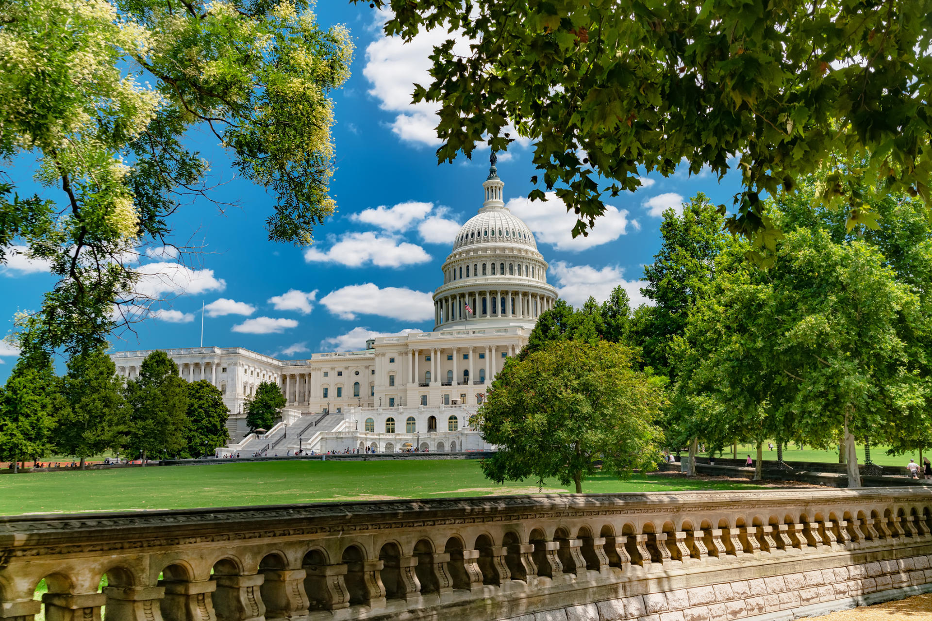 Facial Plastic Surgeon Washington, DC: Patient consultation in medical office