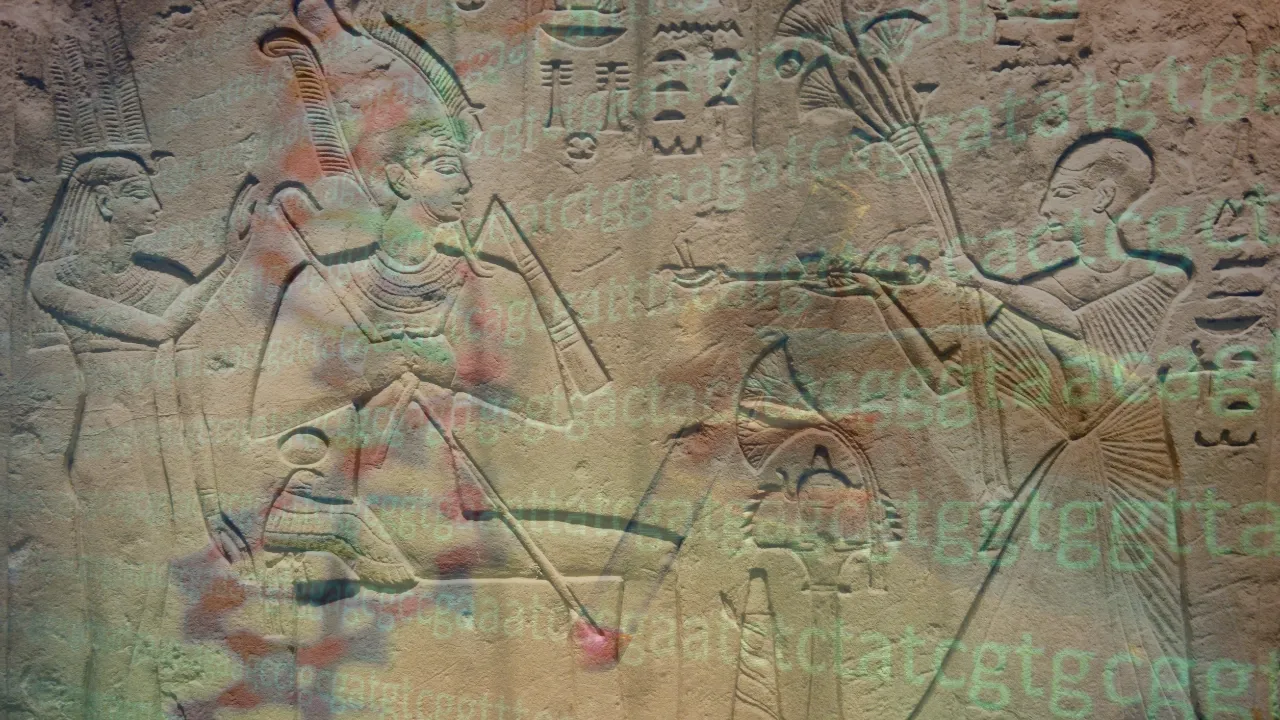 First Ever Genome Reveals Ancient Migration