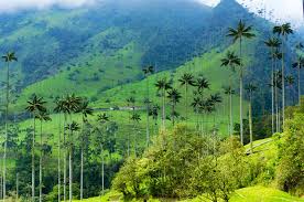 Colombia, mágica aventura - Imagen 1