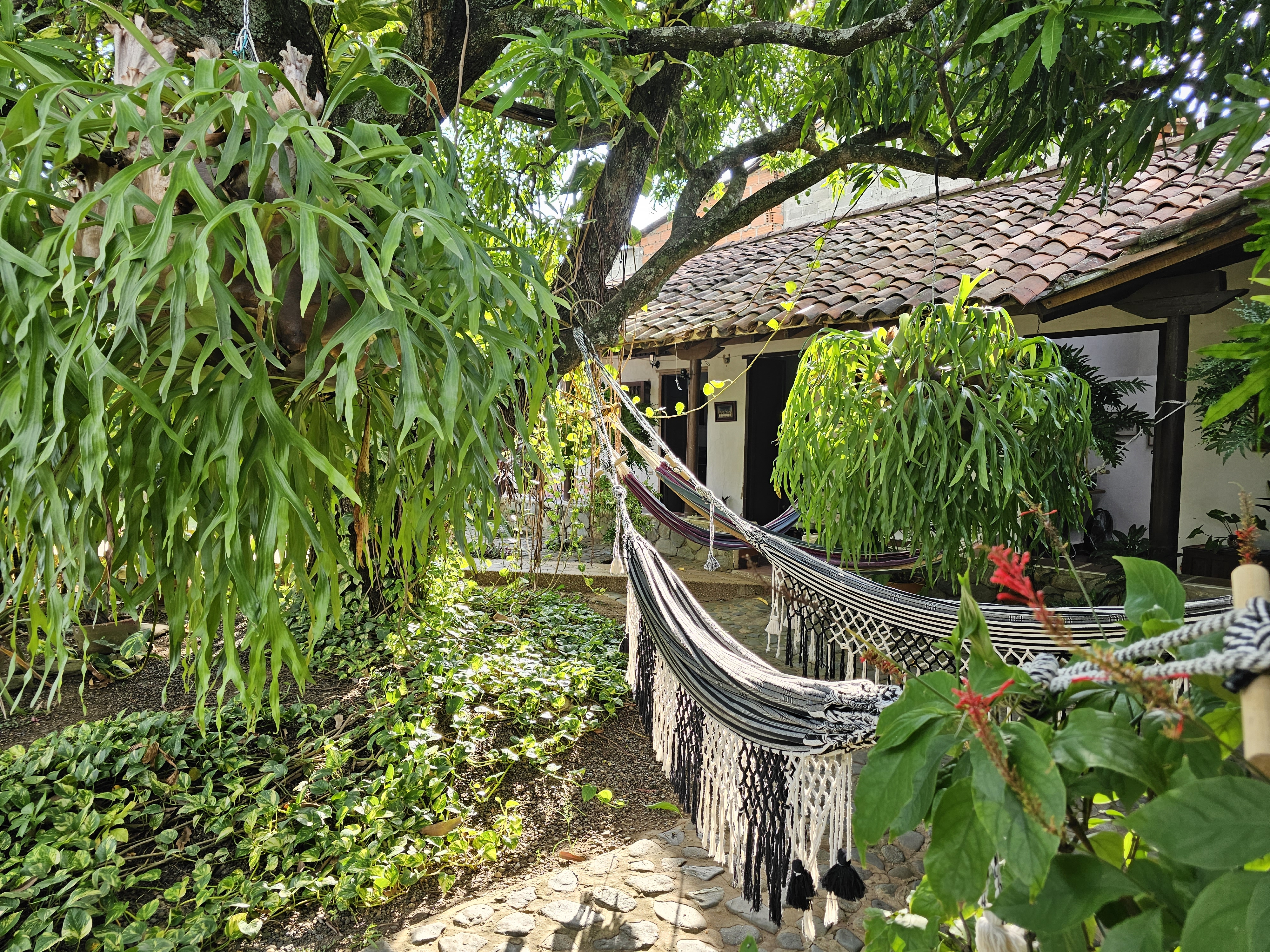 Mecedoras coloniales en el jardín