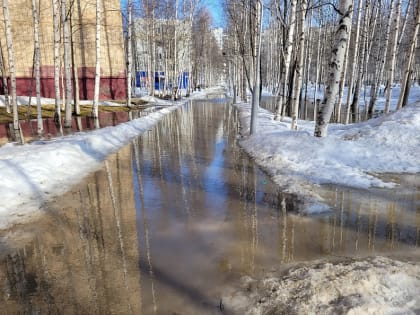 Скамейки и урны возвращают на улицы Нижневартовска