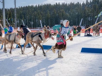 Победили опыт и скорость: в Югре выбрали лучшего оленевода