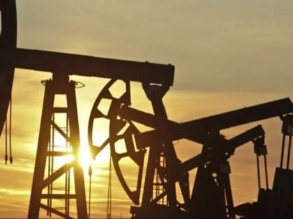 Опубликованы данные для расчёта НДПИ и НДД, а также акциза на нефтяное сырье за август 2022 года
