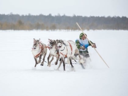 ​В этнодеревне Сургутского района пройдет главный слет представителей КМНС