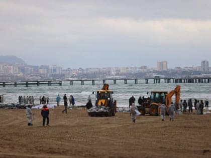 ​Когда Черное море стало черным: экологическая катастрофа у берегов Анапы // ОБЗОР СИА-ПРЕСС