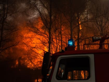 В Сургутском районе почти в три раза сократилось число лесных пожаров