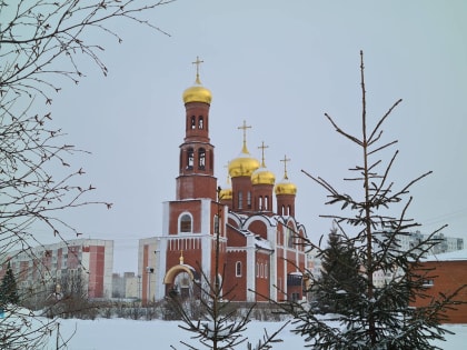 СВЕТЛЫЙ ПРАЗДНИК РОЖДЕСТВА ХРИСТОВА /ИНФОГРАФИКА/