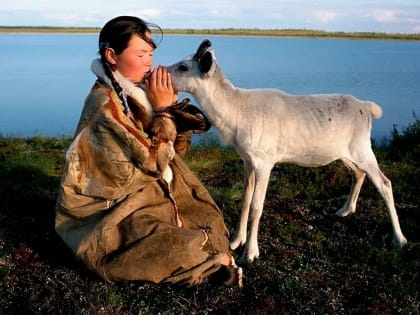 Андрей Осадчук: «У властей Югры нет задачи получить прибыль от разведения оленей. Цель – сохранить оленьи стада и этим поддержать коренные народности Севера»
