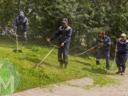 Скос травы в Ханты-Мансийске в самом разгаре