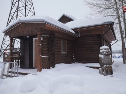 Погрузиться в дремучий лес: в Сургуте создадут выставку «Открывая тайгу»