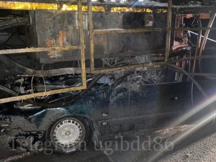 Не выдержал дистанцию: в жуткой аварии на трассе Югры погиб водитель «Ауди»