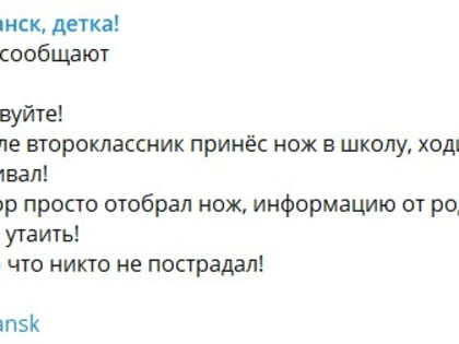 «Ходил и размахивал им». В Югре второклассник пришел в школу с ножом