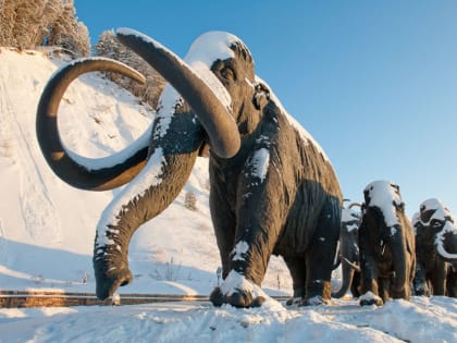 Рассказываем, за какие проекты благоустройства голосуют жители Ханты-Мансийска