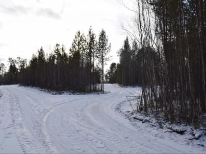 Строительство лыжной базы завершается в Лангепасе в рамках «Карты развития Югры»