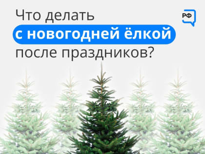 После новогодних праздников наступает время расстаться с живой ёлкой
