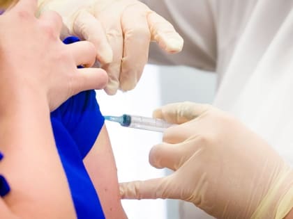 Власти Австрии готовы штрафовать граждан на 7 тысяч евро за отказ от обязательной вакцинации